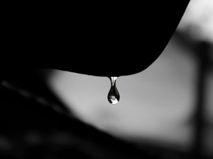 何者かになることが怖くて休学した私の涙には、感情があふれている