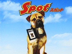 犬嫌いの郵便配達員と少年、捜査犬のドタバタ劇に爆笑　いま観たい映画『スポット』