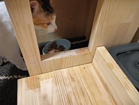 給水機の隣は「フード」用のスペース（画像提供：セルゥゥゥゥァァァァァさん）