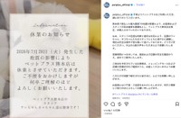 ペットショップ「ペットプラス」の公式インスタグラム（@petplus_official）から