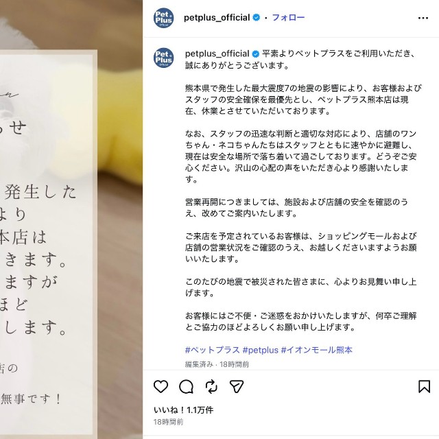 ペットショップ「ペットプラス」の公式インスタグラム（@petplus_official）から