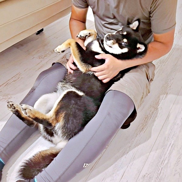 パパと仲良く過ごすあおいちゃん（画像提供：黒柴あおいさん）
