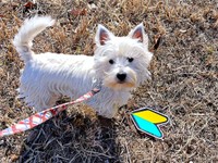 草むらで「初心者マーク」を発見したタオくん（画像提供：もちもちたおちさん）