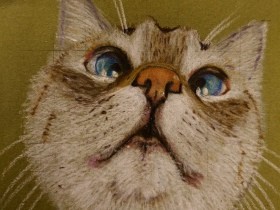 受賞者発表！　sippoおえかきチャレンジ「猫編」