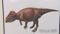 岡山理科大学などが調査の化石「新種の恐竜」と判明　原始的な角竜類と近縁　兵庫・丹波篠山市で発掘