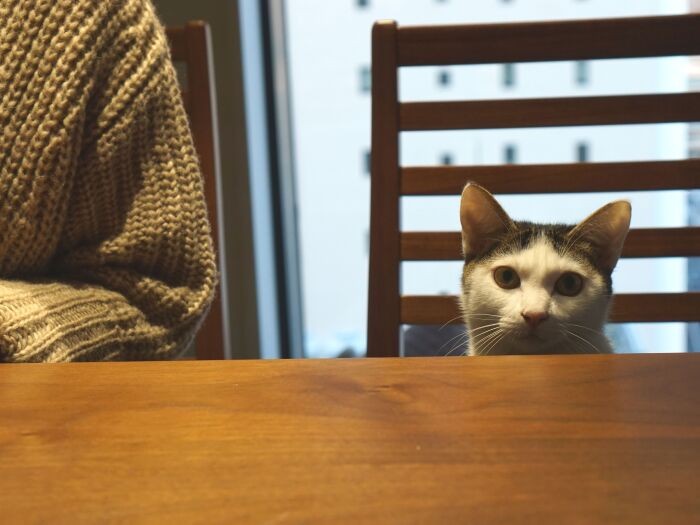 「僕も取材に応じます。何でも話します」