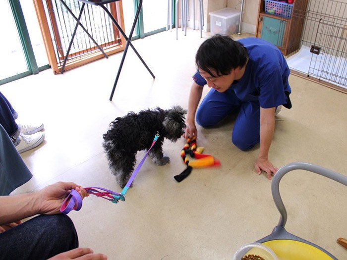 おもちゃを使って遊んでみよう