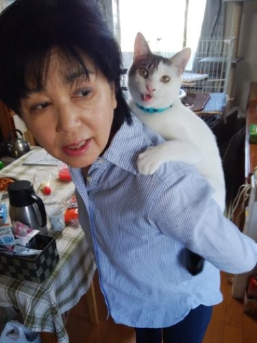 しろは、おんぶが大好き