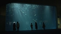 〈新型コロナ〉四国水族館がついにオープン！一部プログラムは休止のまま　香川・宇多津町