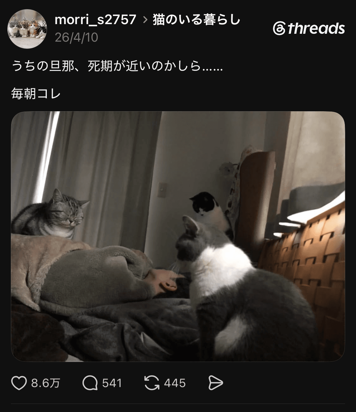 投稿のスクリーンショット