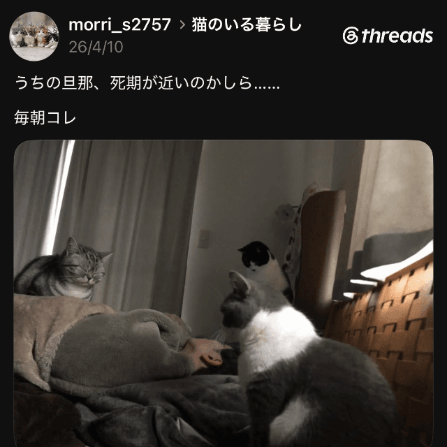 投稿のスクリーンショット