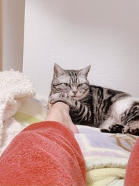 構われ待ちのスピカくん