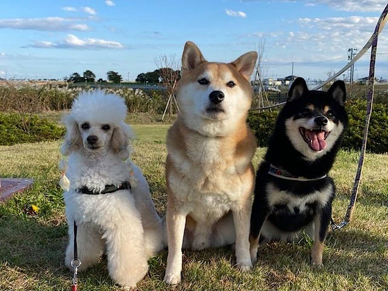 向日葵ちゃんと大志くんは、ともに震災後生まれ