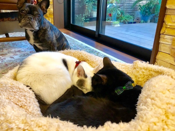 丸くなって、あったかい