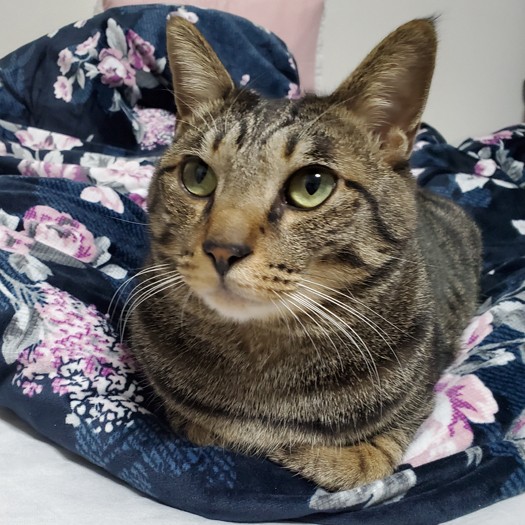 「ホント頼みますよ、ライン越えたら痛いんだから」