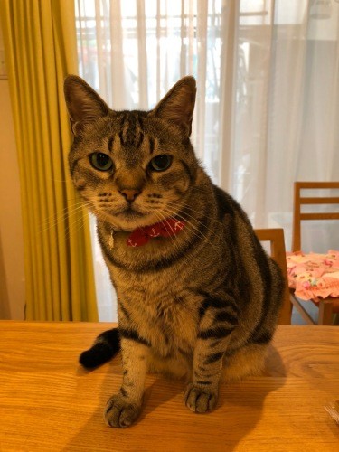 すくすく成長中