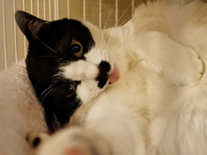 確かにちょっと個性的で　（庄辛琪　撮影）