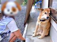 プイッ！ お姉ちゃんから顔をそむけるテツくん（画像提供：ゆずのなかさん）