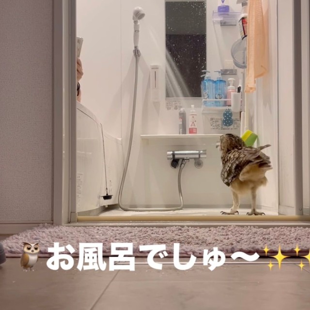お風呂場にやってきたもずく君（提供：@mozmoz0704さん）

