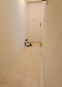 間違いなく何かが起こった！（提供：まめたろさん）
