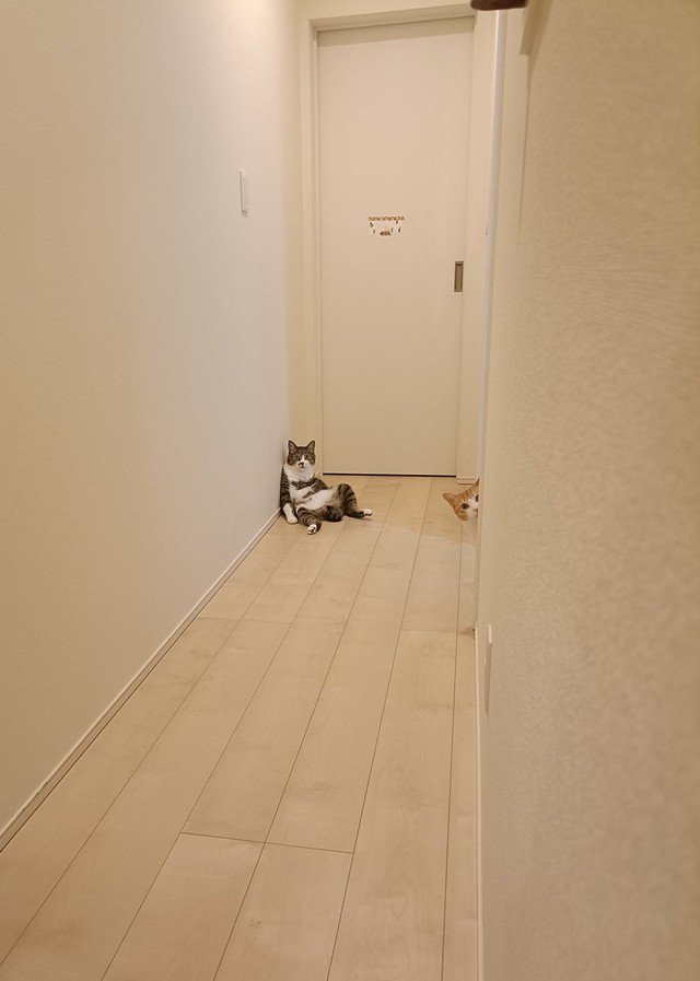 間違いなく何かが起こった！（提供：まめたろさん）