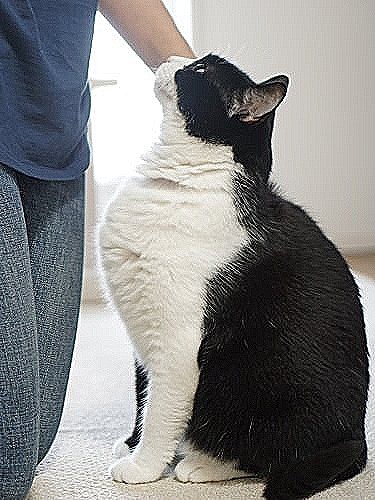 しもべよ、これからも尽くしてよね
