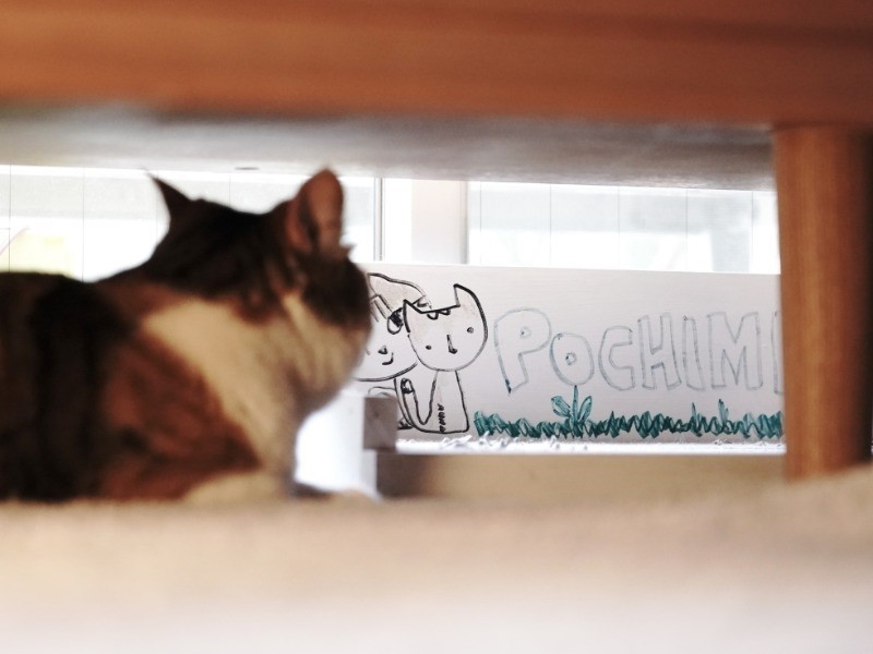 でもいいもの発見、名前が！