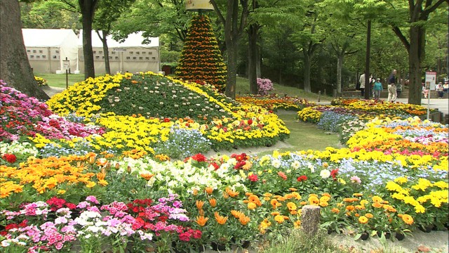 4万本の花やミニ列車を楽しむ　高松市で毎年恒例のフラワーフェスティバル