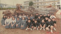 台風で倒れた小学校のシンボル　ユーカリに感謝を込めて卒業式で合唱へ　高松市