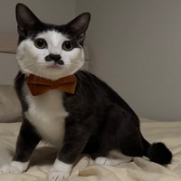 絵画に出てきそうな佇まい（提供：パッツン前髪のセロイと弟プランスさん）