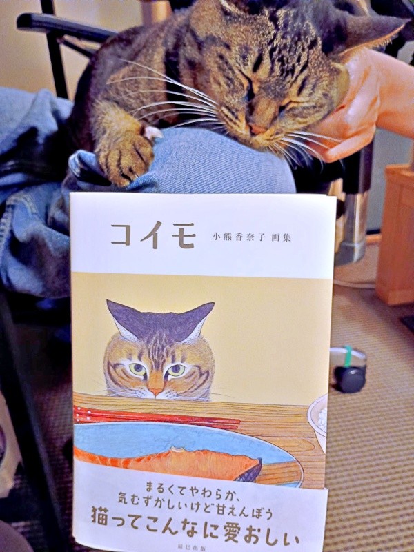 2026年1月、描きためた作品が画集にーー（画像提供：ぼんた（小熊香奈子）さん）