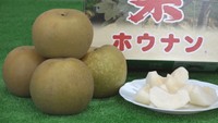 観音寺市の豊浜地区で栽培されるブランド梨「ホウナンの梨」