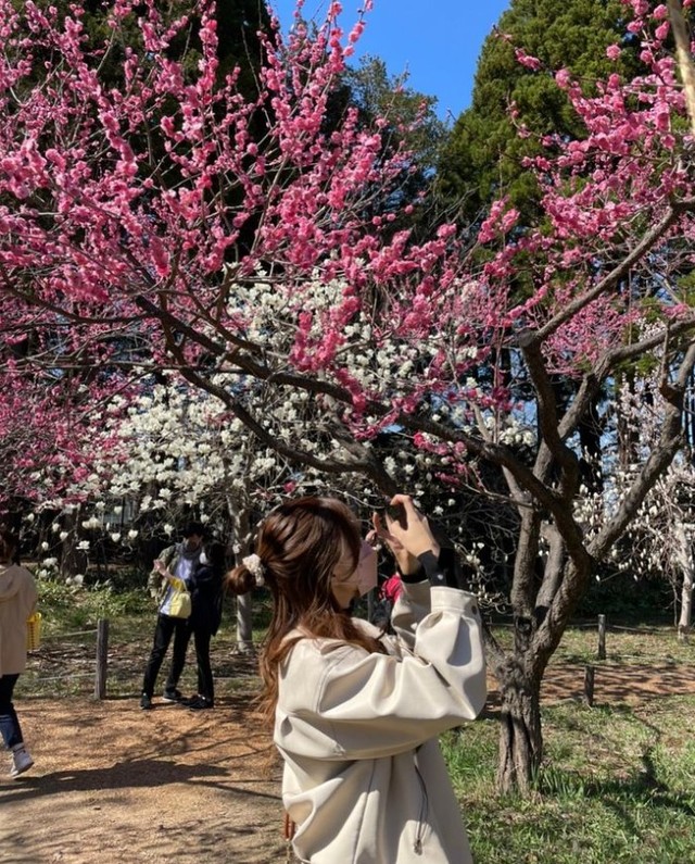 インスタグラム（＠shion_an_as）より引用