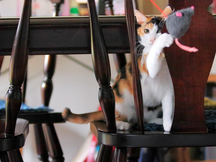 今はお目目ぱっちり！