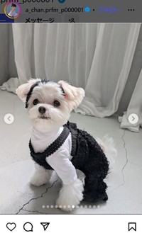 あ～ちゃんのインスタグラム＠a_chan.prfm_p000001より