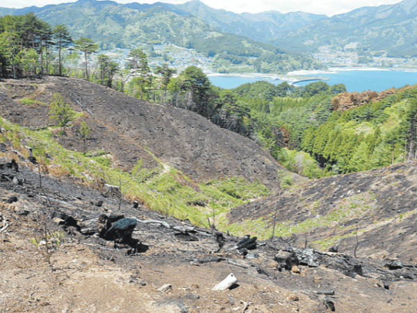 岩手・大槌の山林火災「鎮圧」 ｜ 朝日小学生新聞 | 朝日中高生新聞