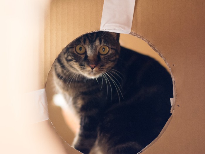 「隠れろ！学校の先生だ」（小林写函撮影）