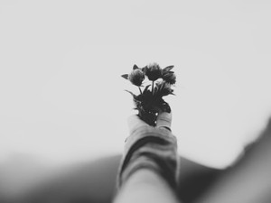 「就活大変？いや俺のために身を削ってよ」にプツン。ネタキャラをやめた