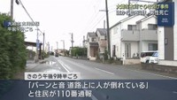 「バーンと音がした」道路に血を流した男性  死亡ひき逃げ事件で捜査  宮城・大崎市