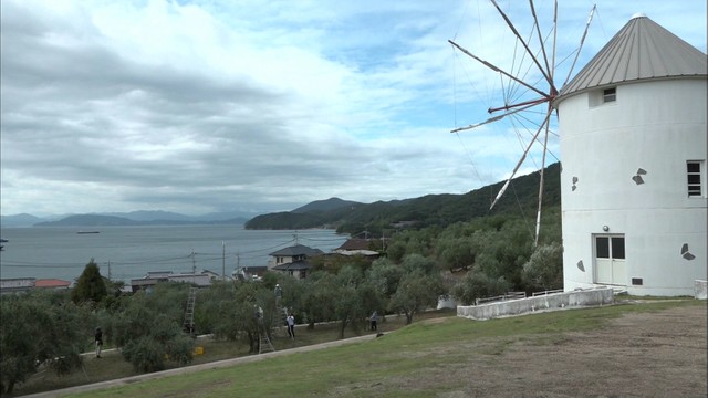 連休のさなか…小豆島オリーブ公園周辺で観光客3人がイノシシに襲われけが  香川