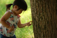 ここにもあった！見つけるのが楽しくて止まらない　※画像はイメージです（yamasan/stock.adobe.com）