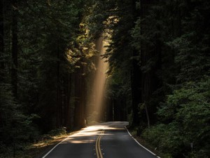 逃げてきた経験が今の私を作った。私は自分の歩んできた道を肯定する