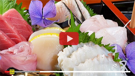 #711鰣不知ときしらず