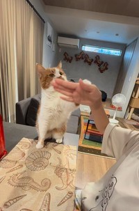 キャッチ！失敗気味？（「W＊S」さん提供、Instagramよりキャプチャ撮影）