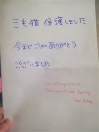 三毛猫の保護を知らせる置き手紙が話題（Yurikoさん提供）