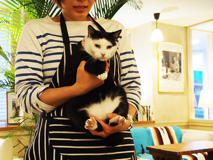 迷い猫だったタキ、年齢不詳