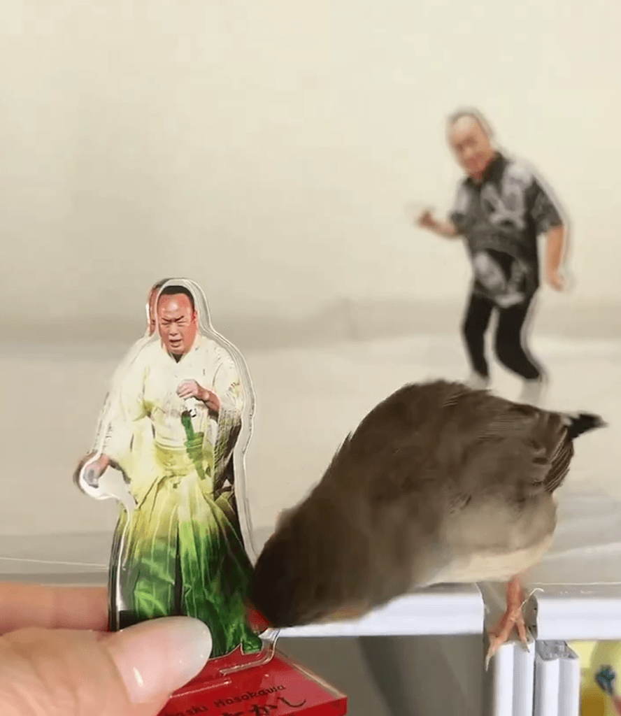 「美味しそう！」つつくバードしめじ