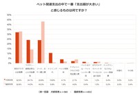 ペット関連支出の中で一番支出額が大きいと感じるものはなんですか（提供画像）