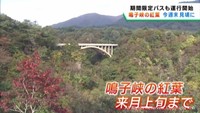紅葉まもなく見頃に　宮城・大崎市の鳴子峡　大渓谷の絶景