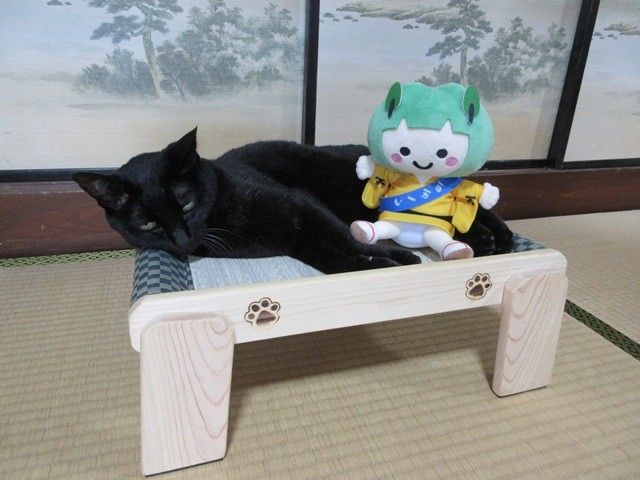これぞ本当のクロネコヤマト？」 黒猫が配達員風制服でキリッ 飼い主の
